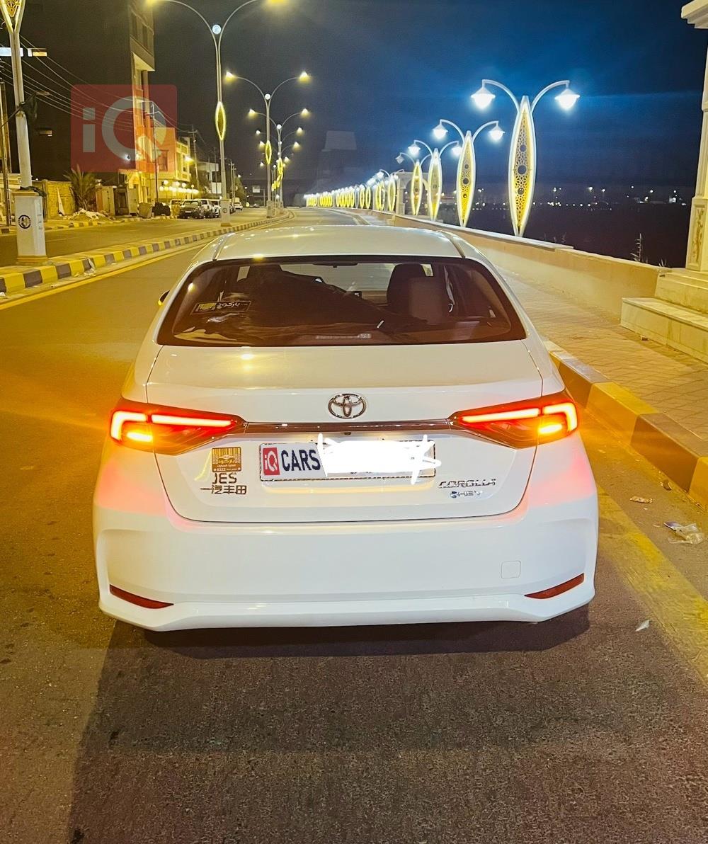 تويوتا كورولا
